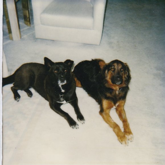 Meet your Posher, Nancy - Picture 1 of 1